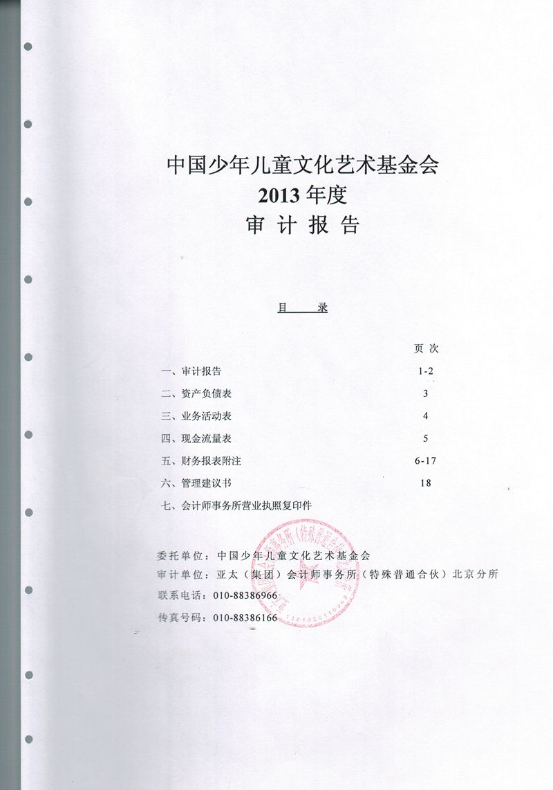 2013年度审计报告